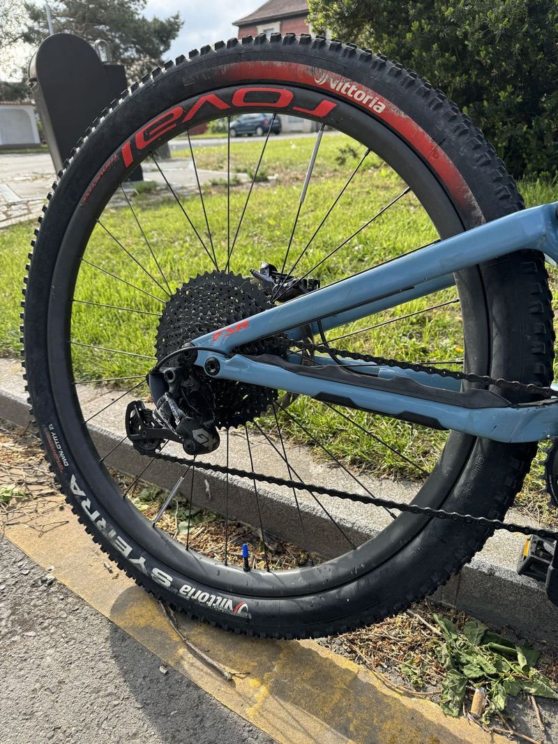 Specialized stampjumper karbon 29