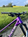 Optic Norco, C1, L