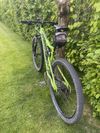 Cannondale Rush 29