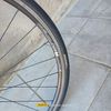 Specialized Roubaix 56