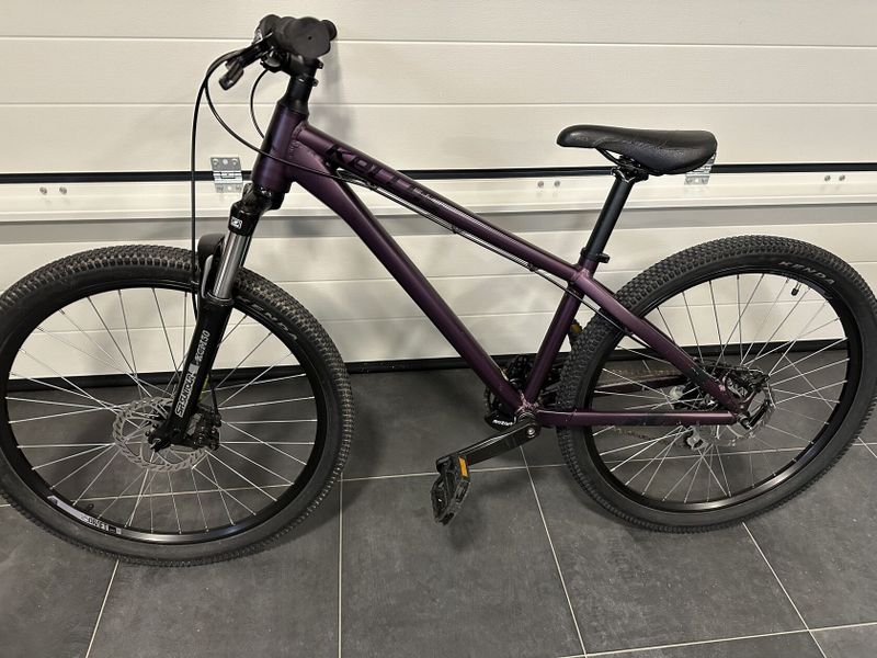 Kellys Whip 10 purple