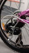 Dětské kolo Trek MT 60 Girls 20"