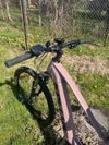Kellys TAYEN R10 P ROSE GOLD 29" 725Wh