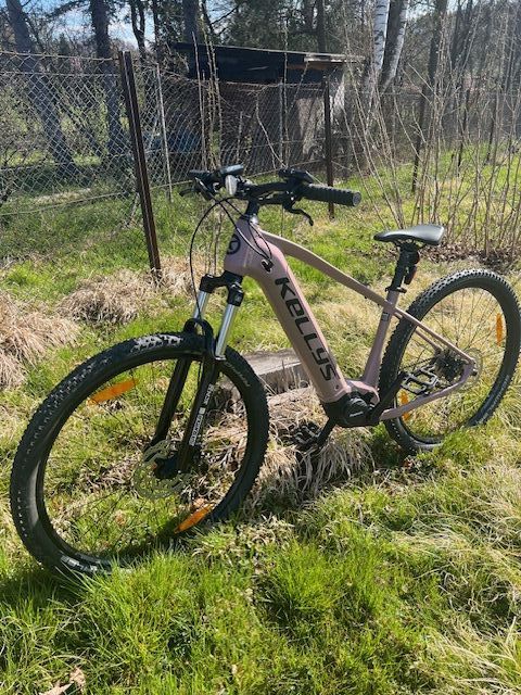Kellys TAYEN R10 P ROSE GOLD 29" 725Wh
