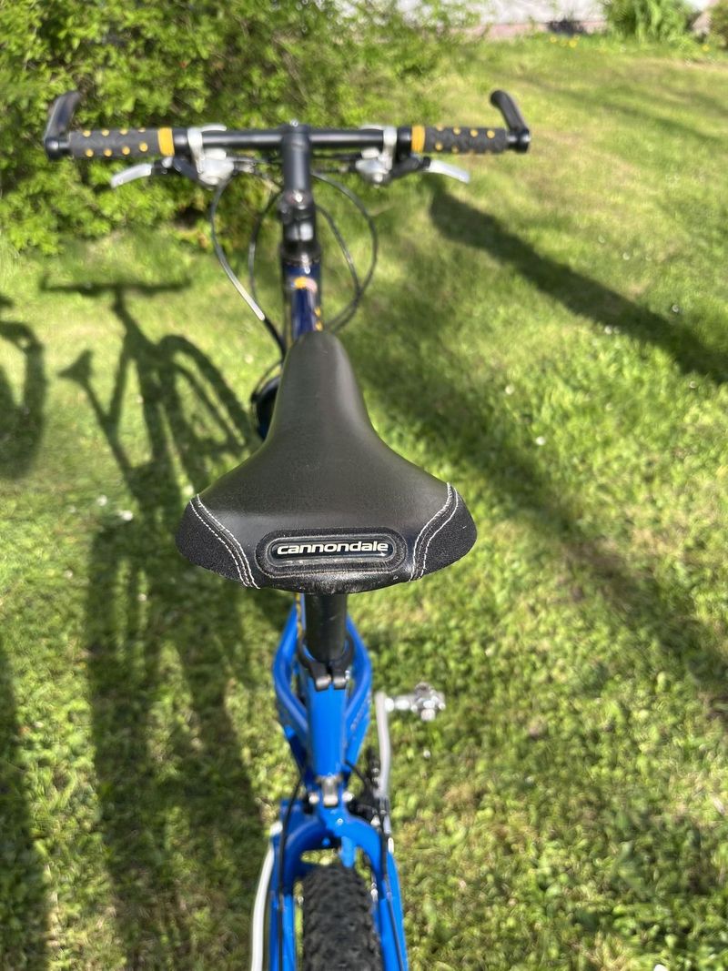 Cannondale Jekyll 