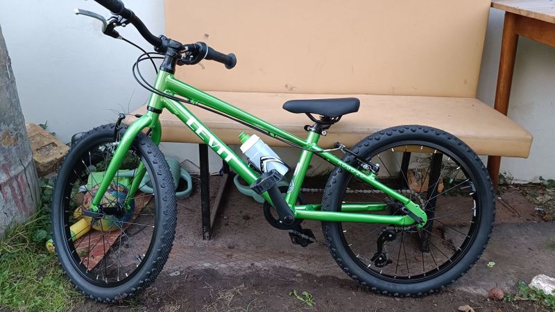 Levit Kogo 2022