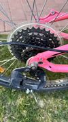 Specialized Hot Rock 24”