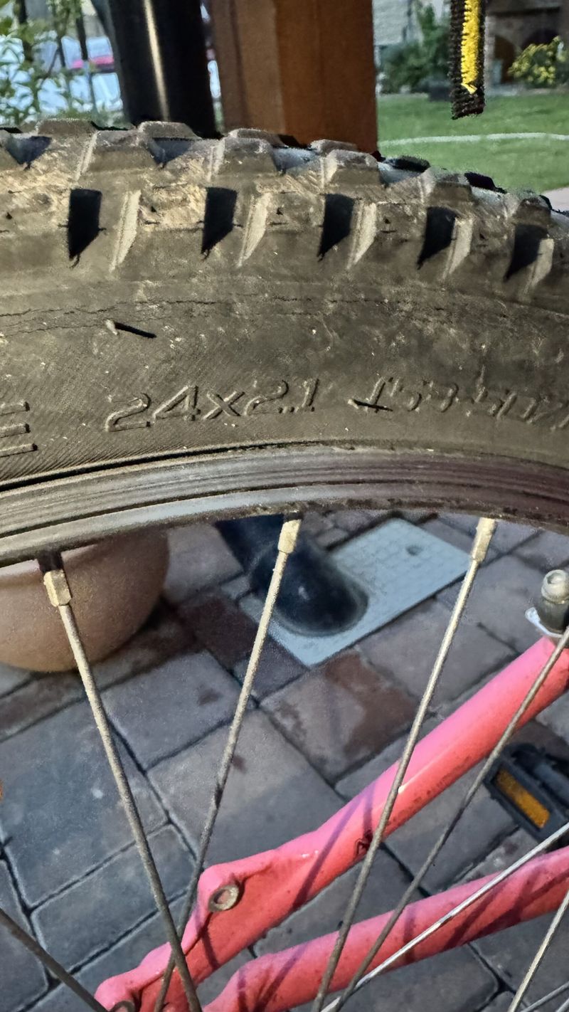 Specialized Hot Rock 24”