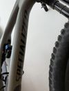 Specialized Stumpjumper Expert Carbon 29