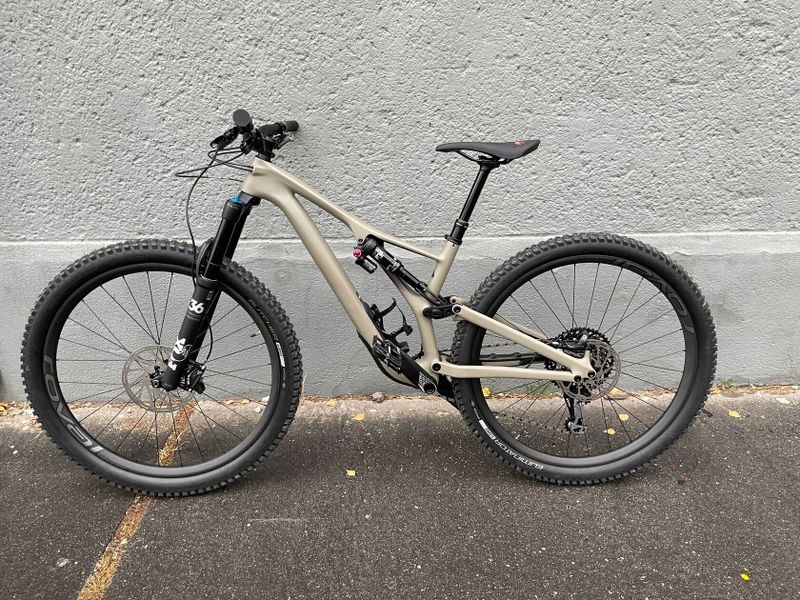 Specialized Stumpjumper Expert Carbon 29