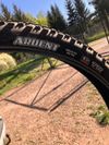 Maxxis Ardent 29” 2.40”