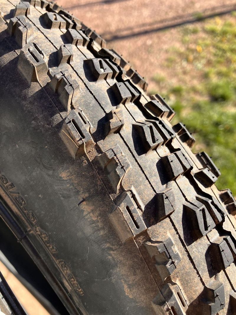 Maxxis Ardent 29” 2.40”