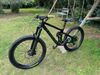Trek Remedy 9.8 2022 Carbon