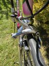 Colnago Tecnos Art Decor