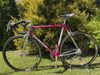 Colnago Tecnos Art Decor