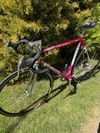 Colnago Tecnos Art Decor