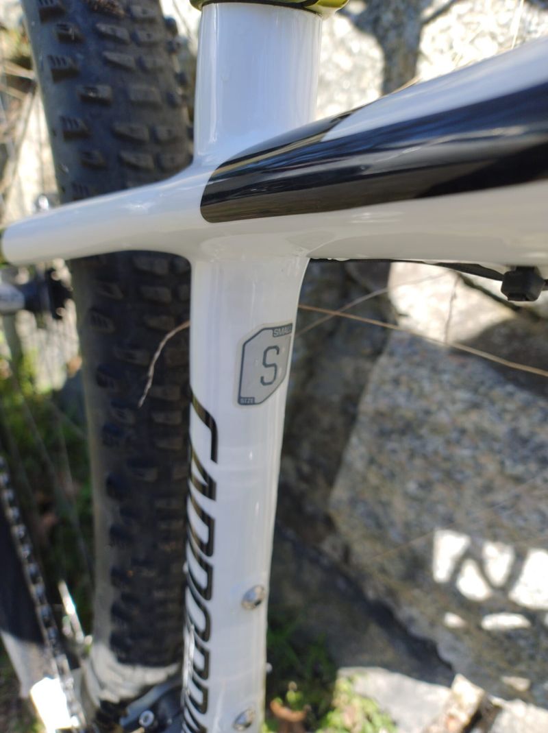 Cannondale F-Si 29 