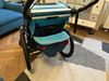 Thule chariot 