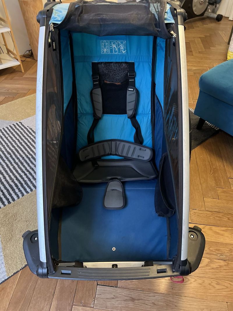 Thule chariot 
