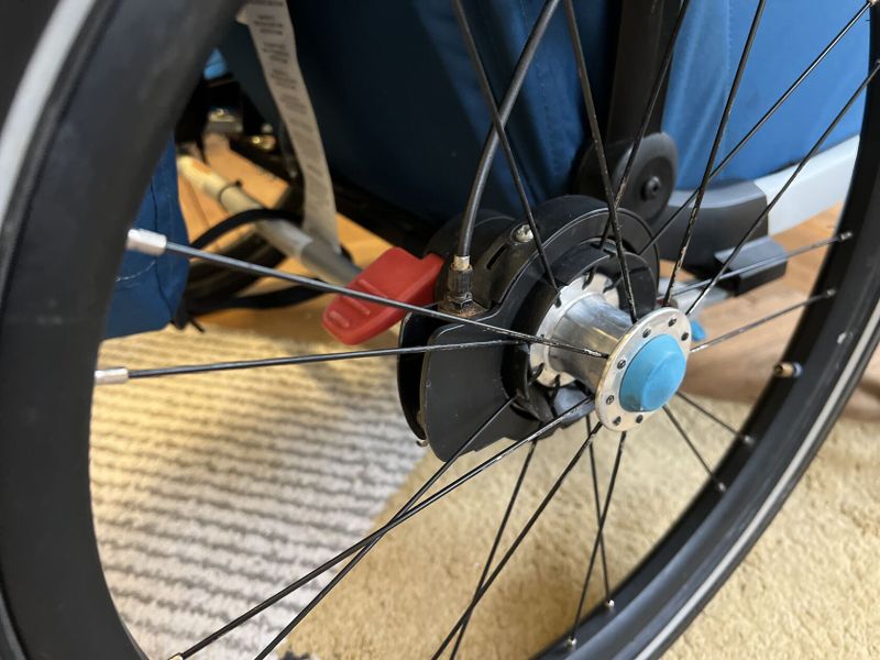 Thule chariot 