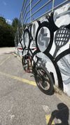 TREK ROSCOE 8 2020