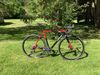 Ridley X-Night SL disc carbon
