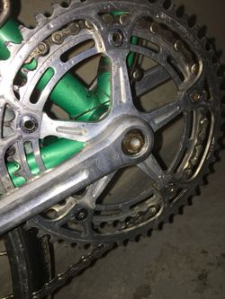 campagnolo