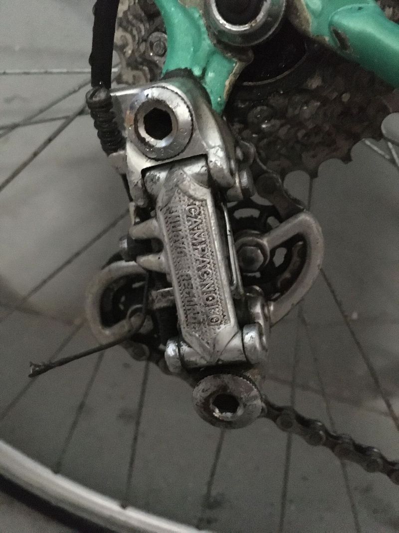 campagnolo