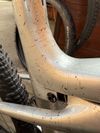 Trek Supercaliber SLR 9.9 XX Gen2 Argent Drizzle vel.L