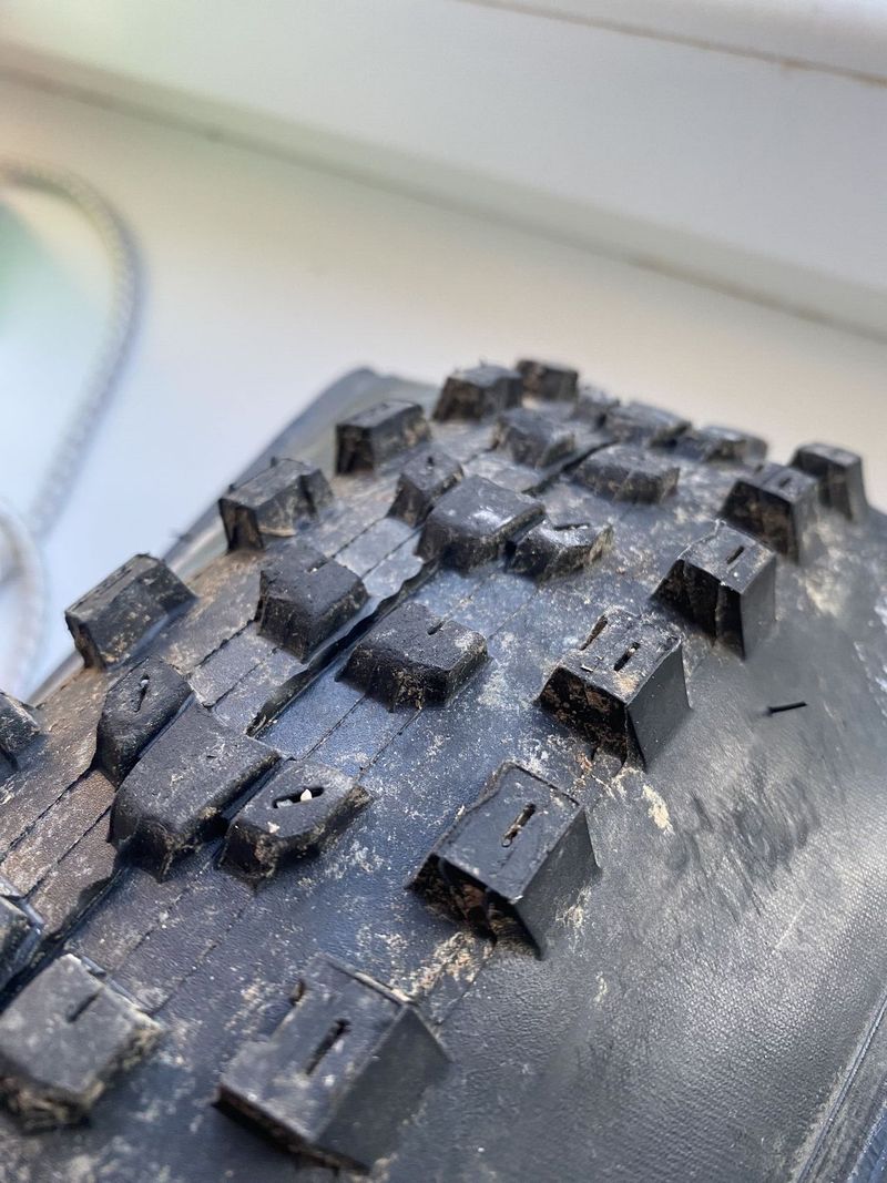 Maxxis Dissector 29x2.40 wt exo tr