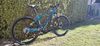 Rock Machine Manhatan