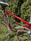 Colnago Super Profil