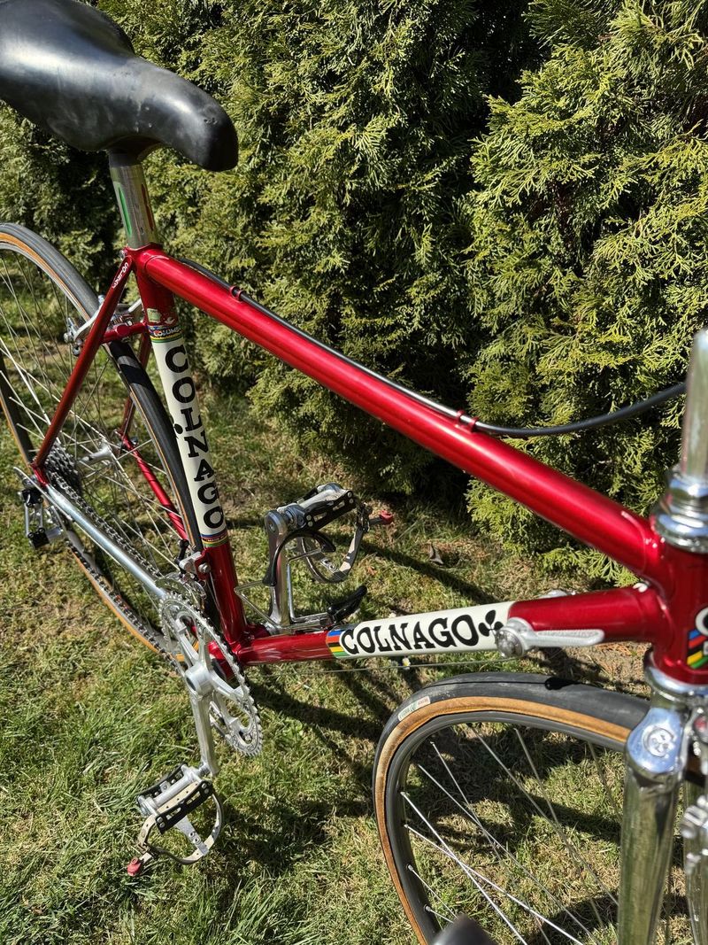 Colnago Super Profil