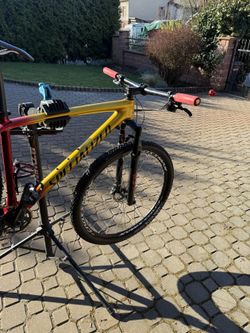 Specialized Epic HT expert 29 gold
