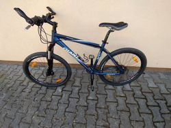 Giant Terrago 1