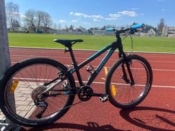 Orbea MX 24
