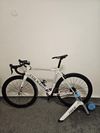 Colnago ACR 