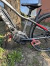 Trek Powerfly 5