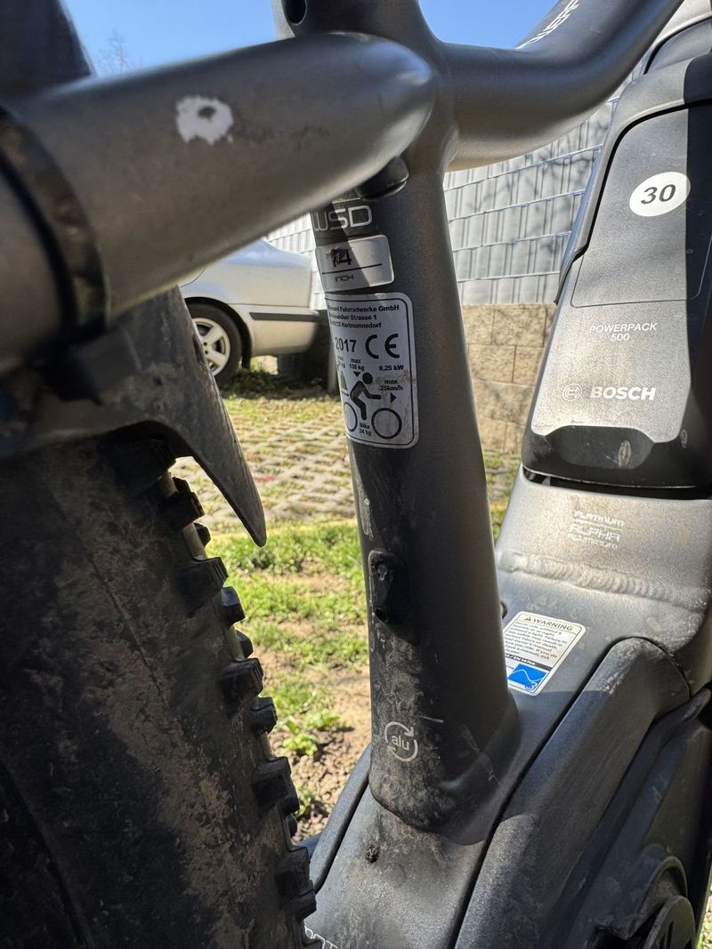 Trek Powerfly 5