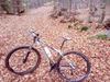 Cannondale si Carbon 