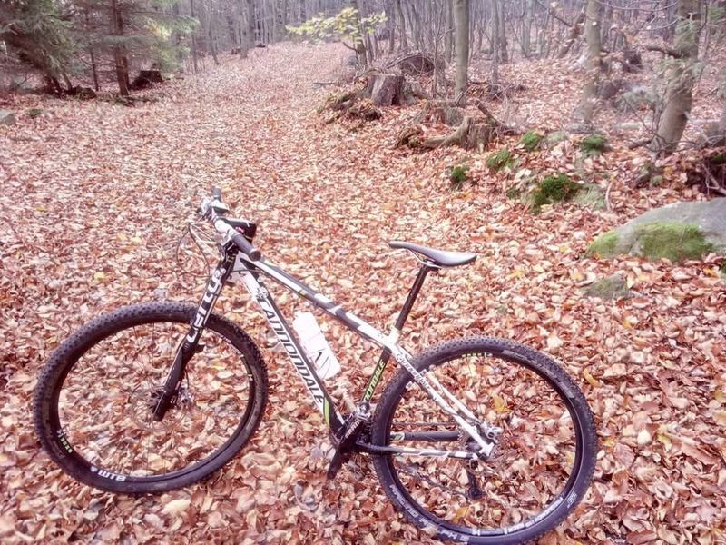Cannondale si Carbon 