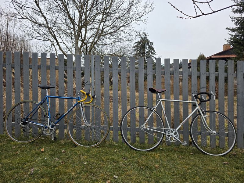 Favorit singlespeed