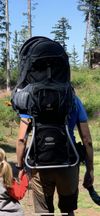 Thule Chariot