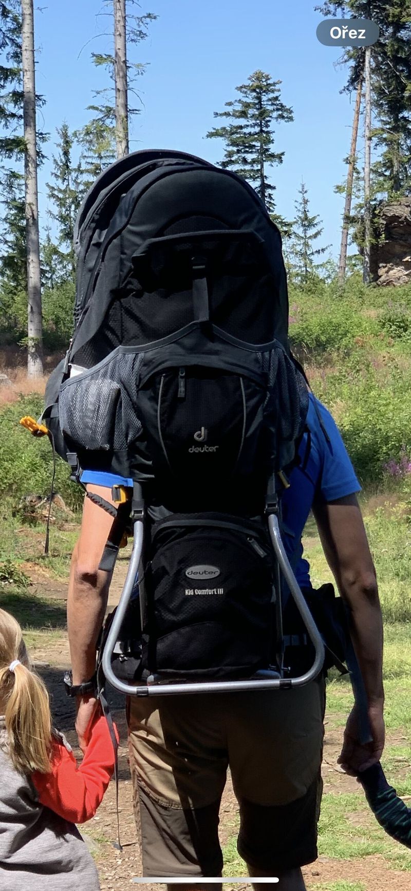 Thule Chariot
