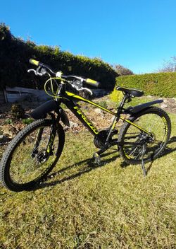 Juniorské kolo Arezzo ROCO 24"