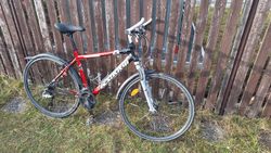 Kolo Acstar Florida SX 28/19"