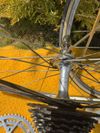 Sada Campagnolo Victory