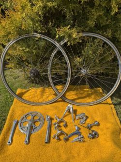 Sada Campagnolo Victory
