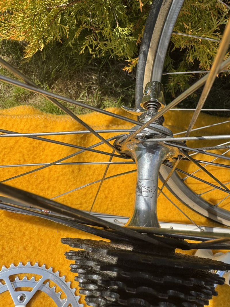 Sada Campagnolo Victory