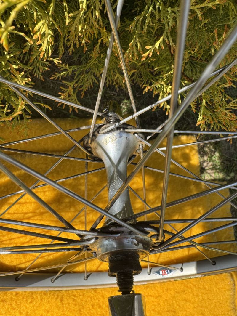 Sada Campagnolo Victory
